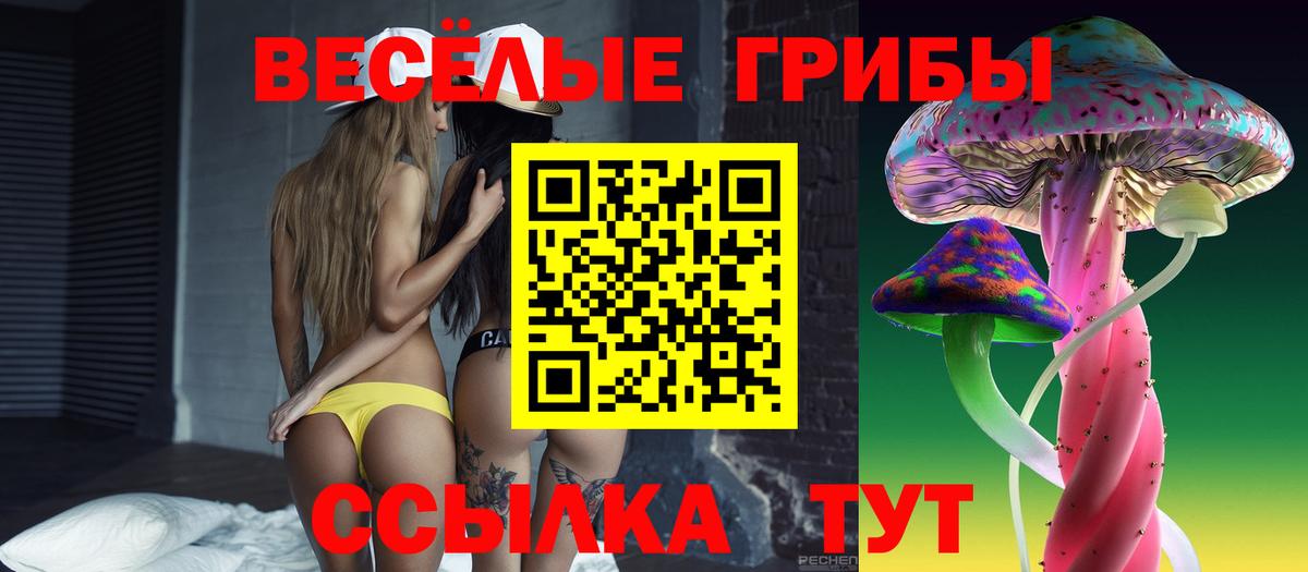 Псилоцибиновые грибы GOLDEN TEACHER  Галлюциногенные грибы ЛСД  Владикавказ  Вход с VPN 