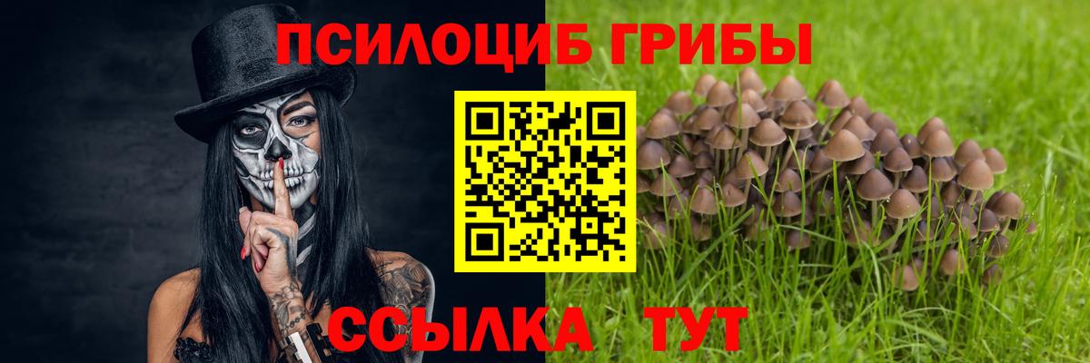 Галлюциногенные грибы Cubensis Владикавказ